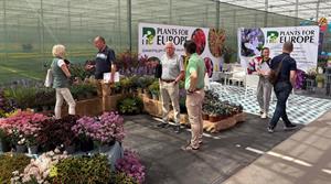 Plants for Europe